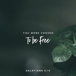 Galatians 5:13