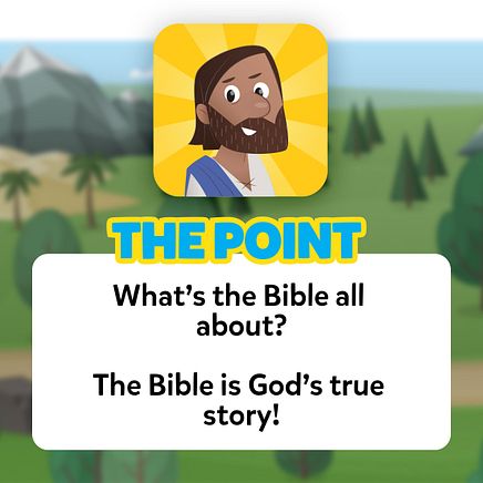 The Point