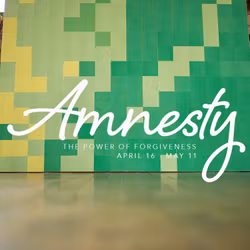 Amnesty
