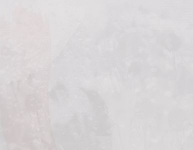 Background Images