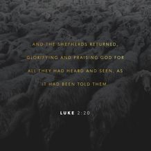 Luke 2:20