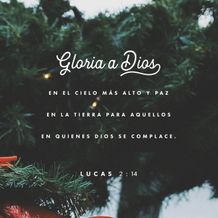 24 de diciembre - Plaza