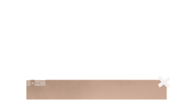 L3 Primary