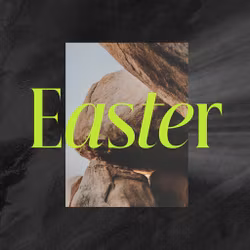 Easter - Great Expectation