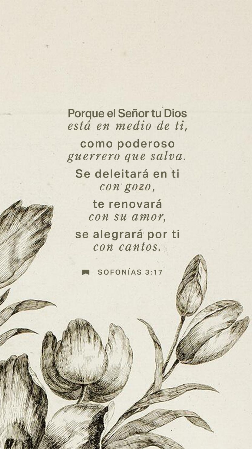 16 de enero - Vertical