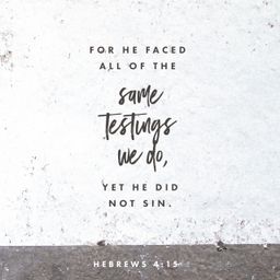 Hebrews 4:15