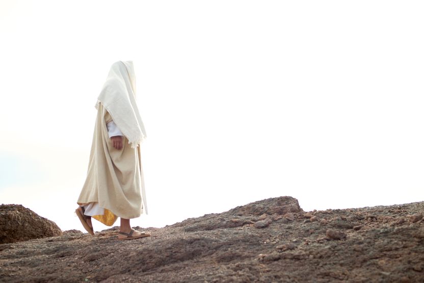 Image 04