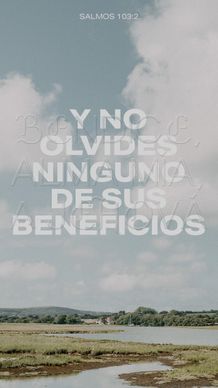 10 de enero - Vertical