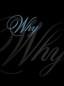 Banner 2