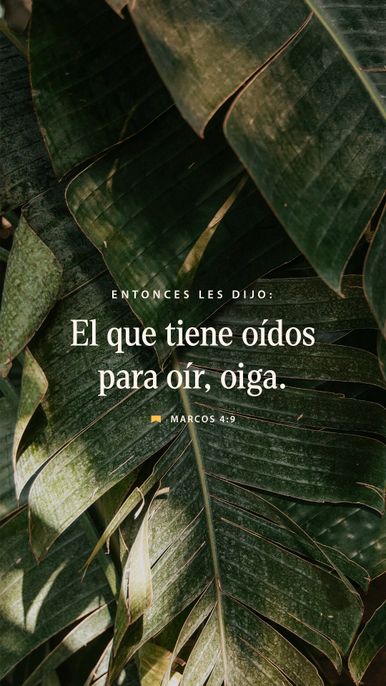 28 de enero - Vertical