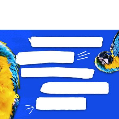 Panel 4 1080x1080