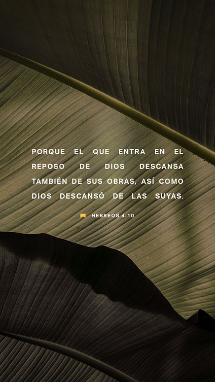 17 de enero - Vertical