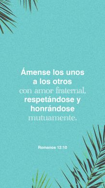 14 de febrero - Vertical