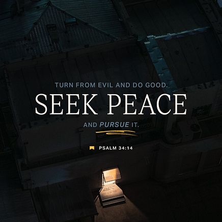 January 15 - Square