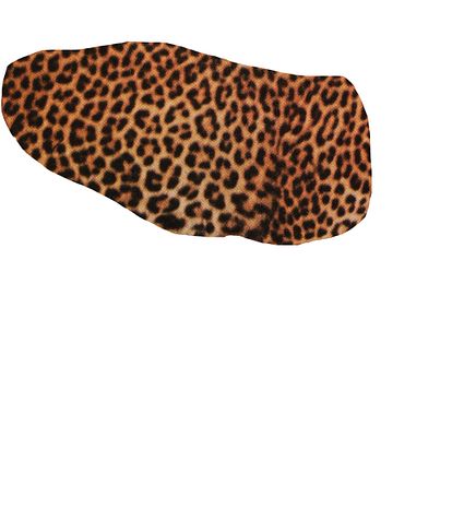Leopard Spots 3