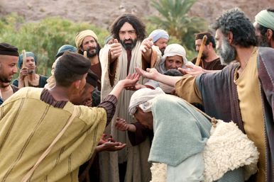 Image 11