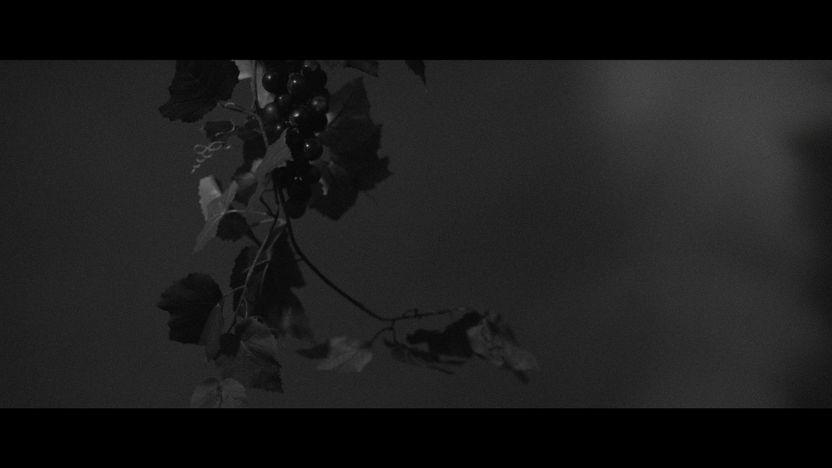 Still 13