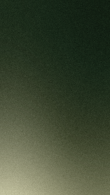 Vertical 3