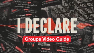 Groups Video Guide