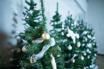 Christmas Tree 7