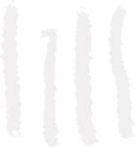 Tick 4