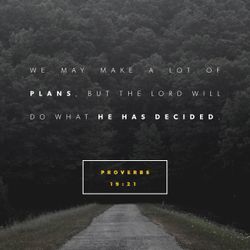 Proverbs 19:21