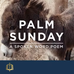 Palm Sunday 