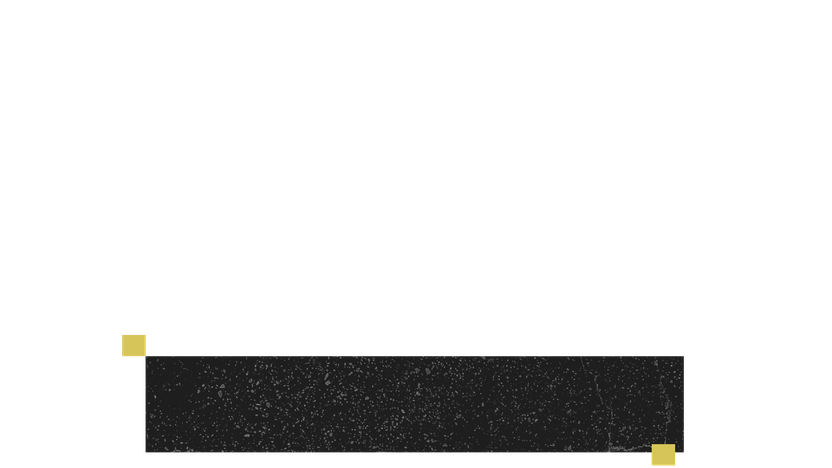 Lower Third Social 2