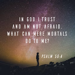 Psalm 56:4