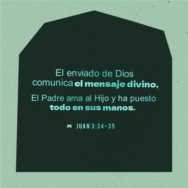 08 de diciembre - Plaza