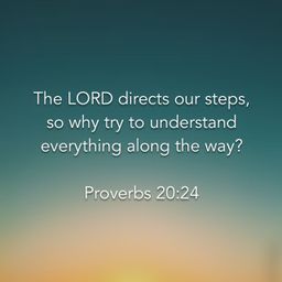 Proverbs 20:24