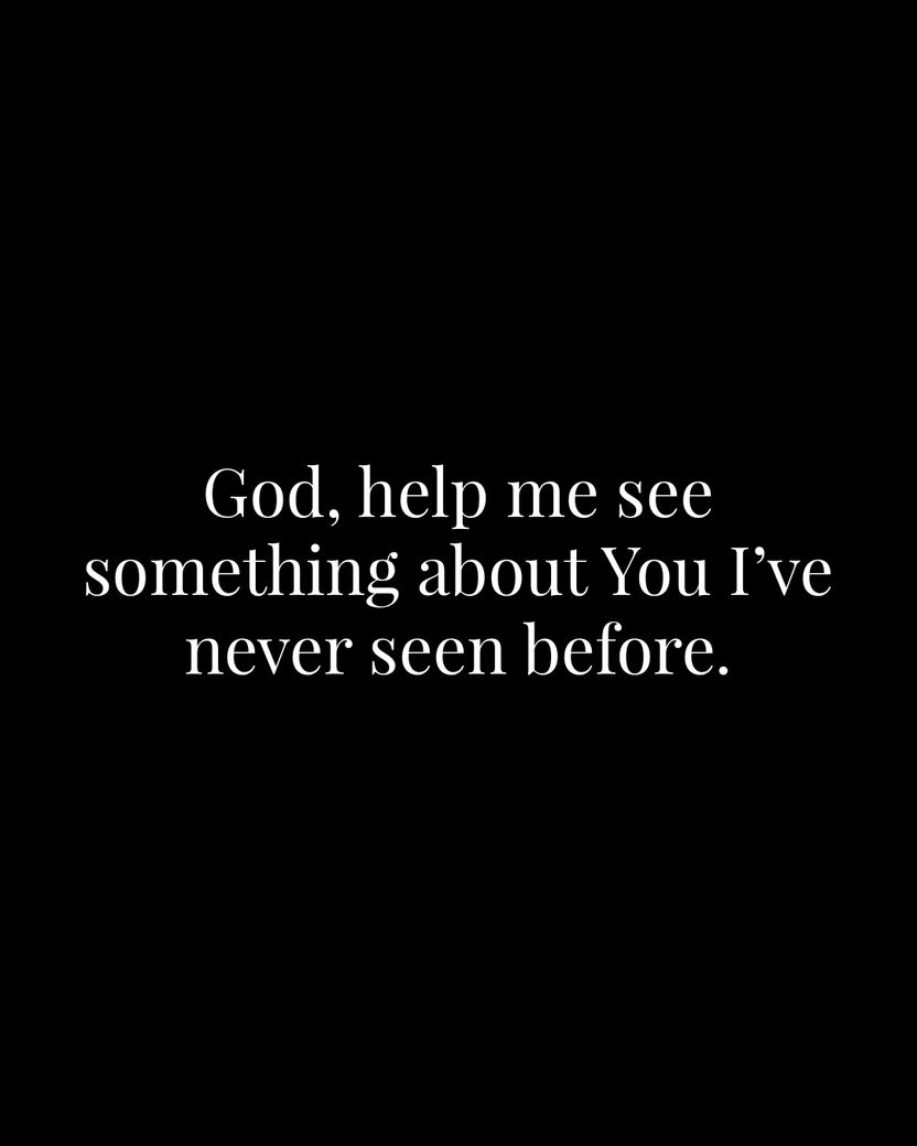 Image 04