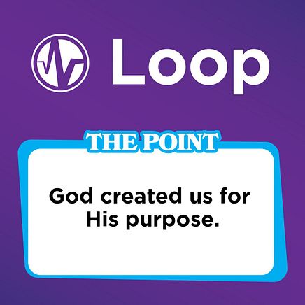 The Point