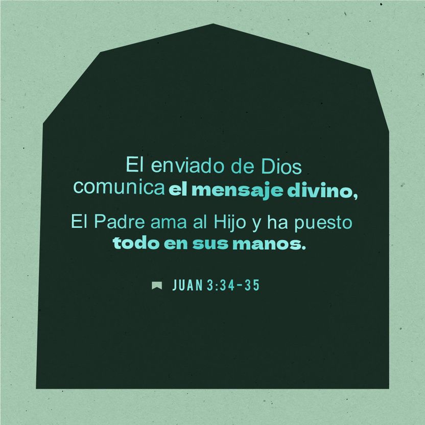 08 de diciembre - Plaza