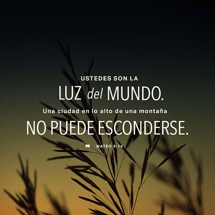 27 de enero - Plaza