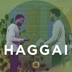 The Book of Haggai