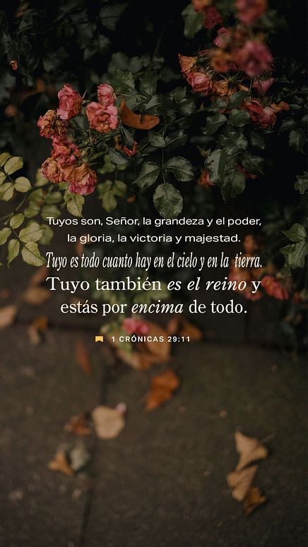 13 de enero - Vertical