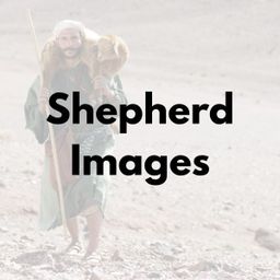 Shepherd Images 