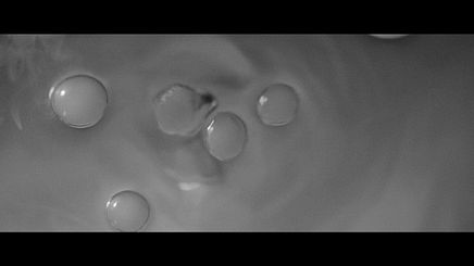 Still 14