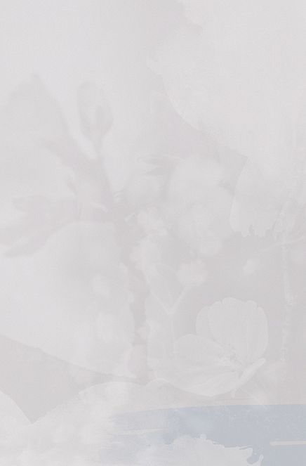 White Background - 1725x2625