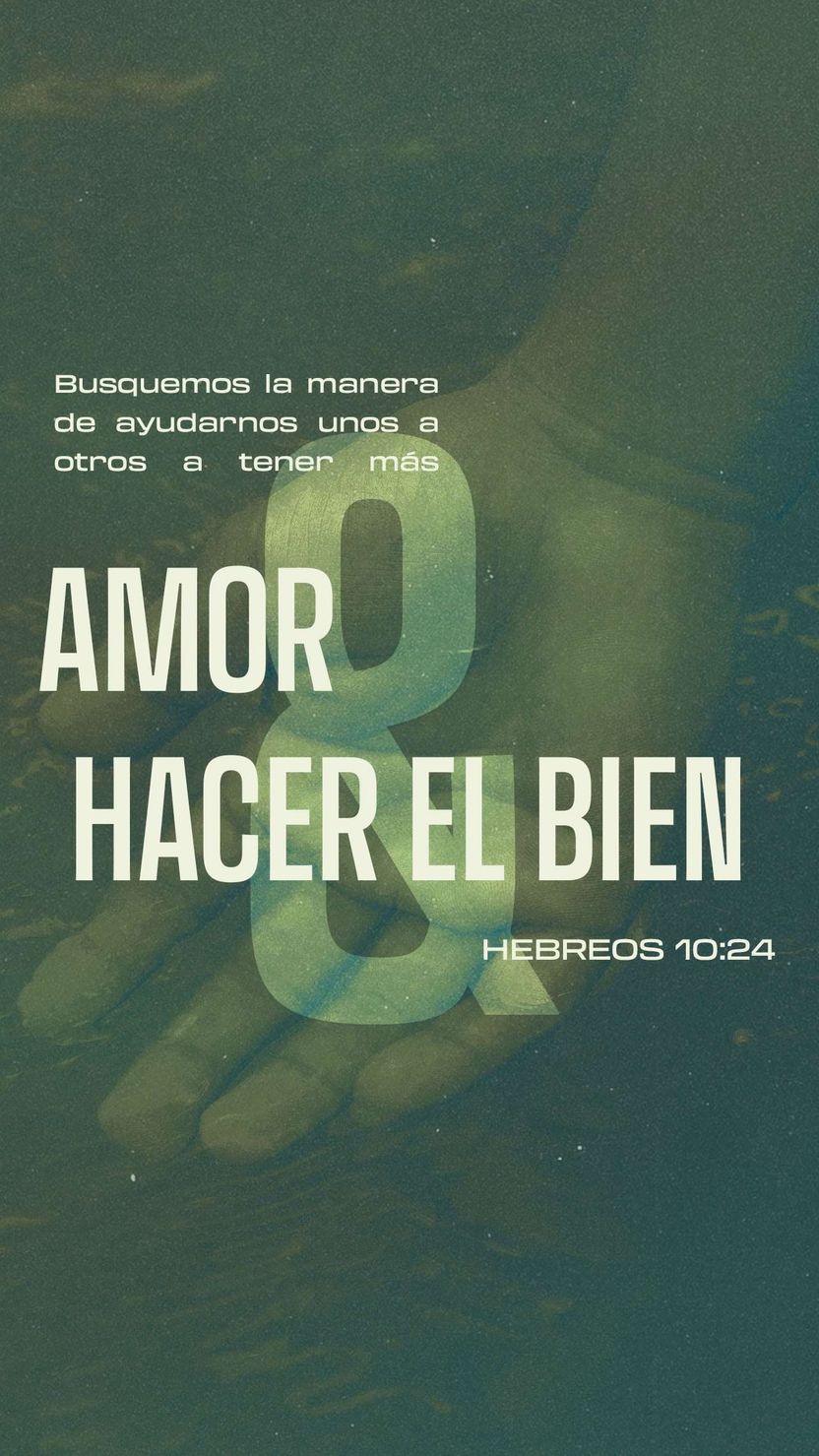 31 de enero - Vertical