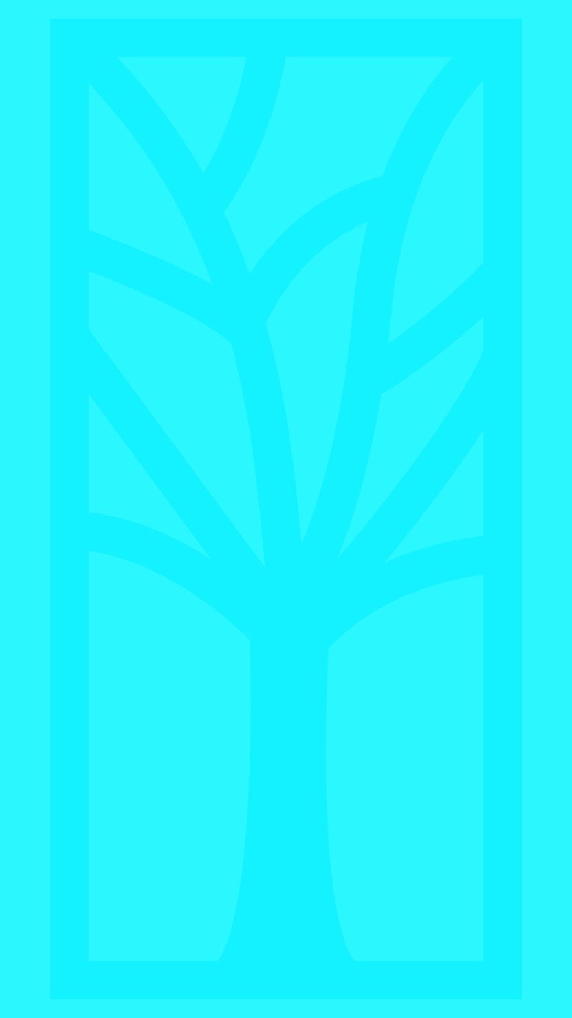 Story 5