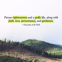 1 Timothy 6:11 NLT 