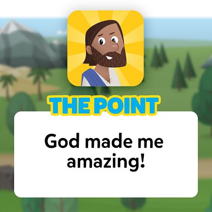 The Point