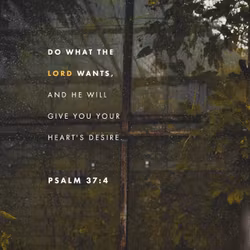 Psalm 37:4