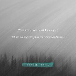Psalm 119:10