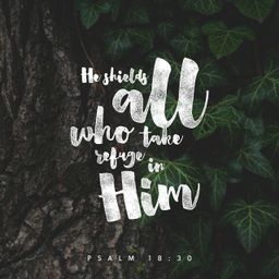Psalm 18:30