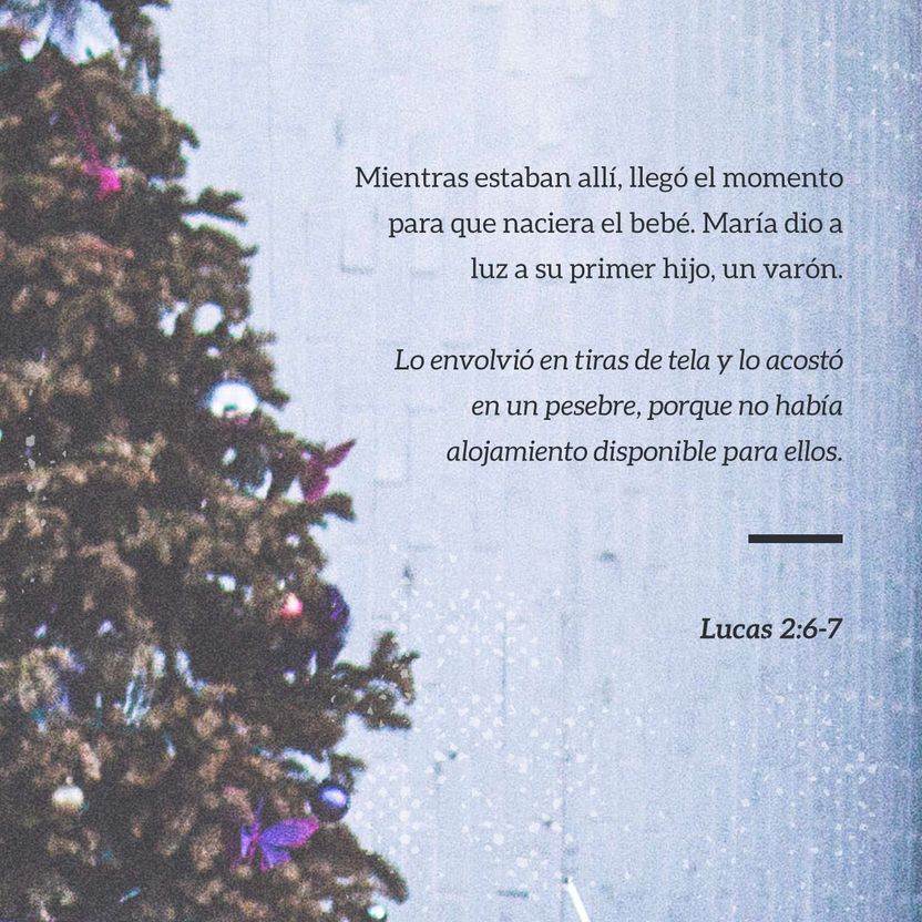22 de diciembre - Plaza 1