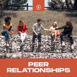 Peer Relationships - Switch 