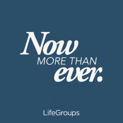 Now More Than Ever